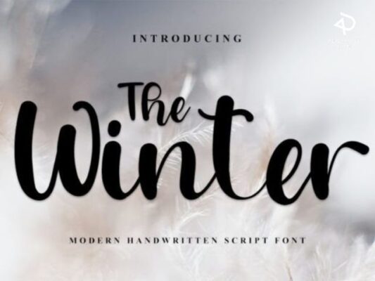 The Winter Script & Handwritten Font